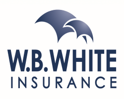 WB-White-New-1024x663 250